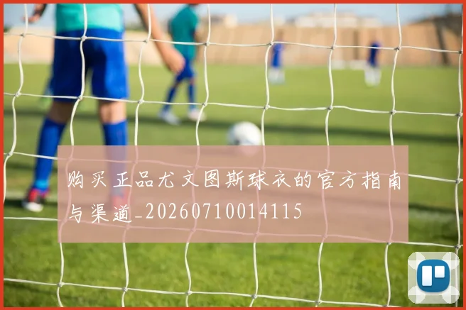 购买正品尤文图斯球衣的官方指南与渠道_20260710014115