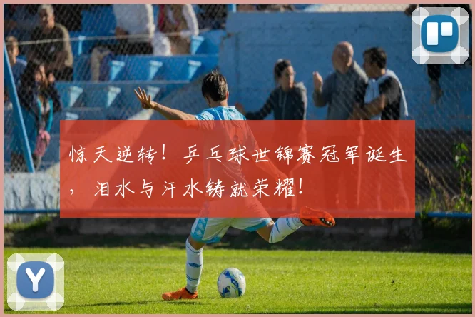 惊天逆转!乒乓球世锦赛冠军诞生,泪水与汗水铸就荣耀!