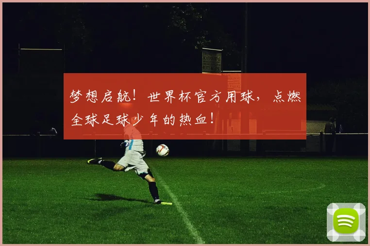梦想启航！世界杯官方用球，点燃全球足球少年的热血！